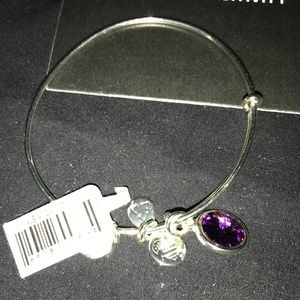 Alex and Ani Crystal Birthstone in Amethyst